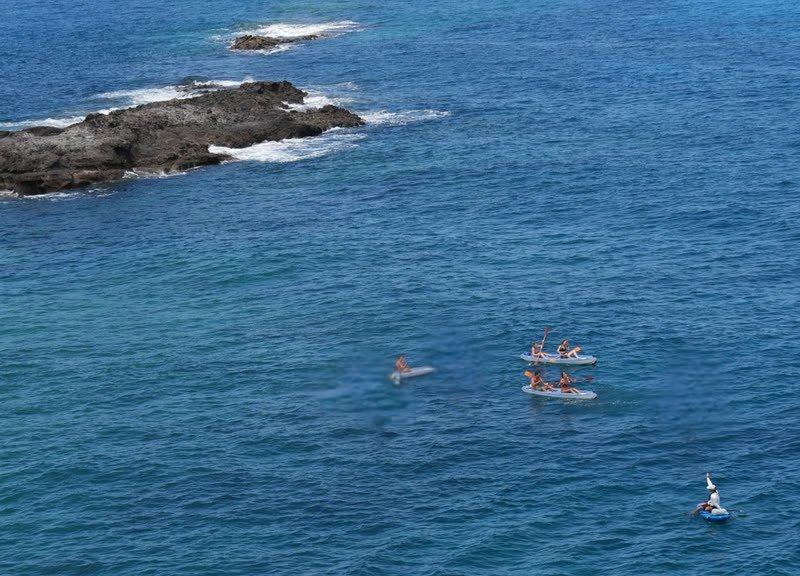 El grupo remando en mar abierto, visto desde lo alto